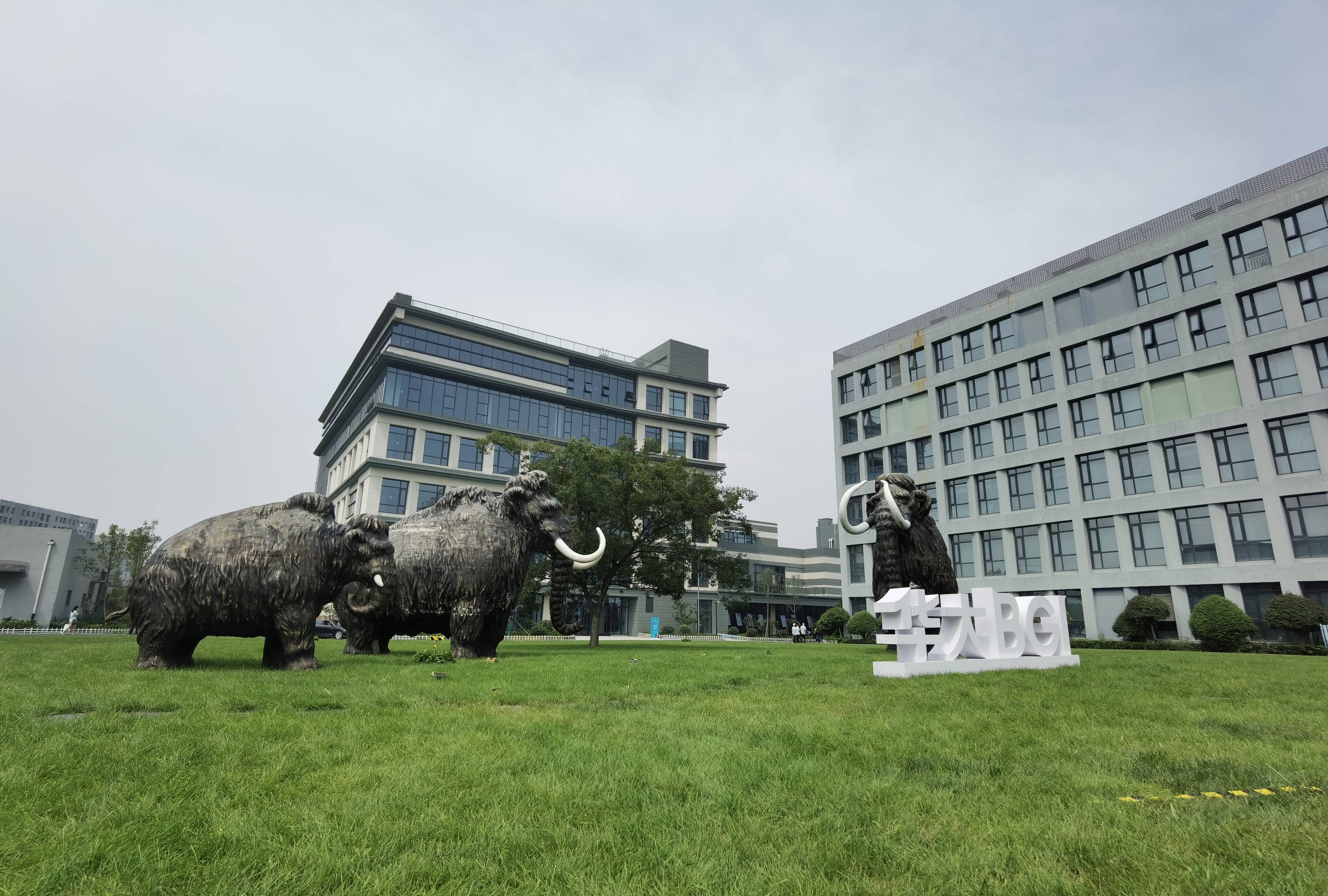 青岛华大五年来在生命健康领域取得的成就,青岛市给予充分肯定,认为是