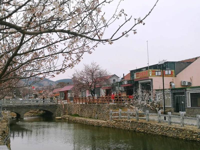 黄泥巷村墩上村上沟村跟随着镜头,一起探寻三月的杨家山里.