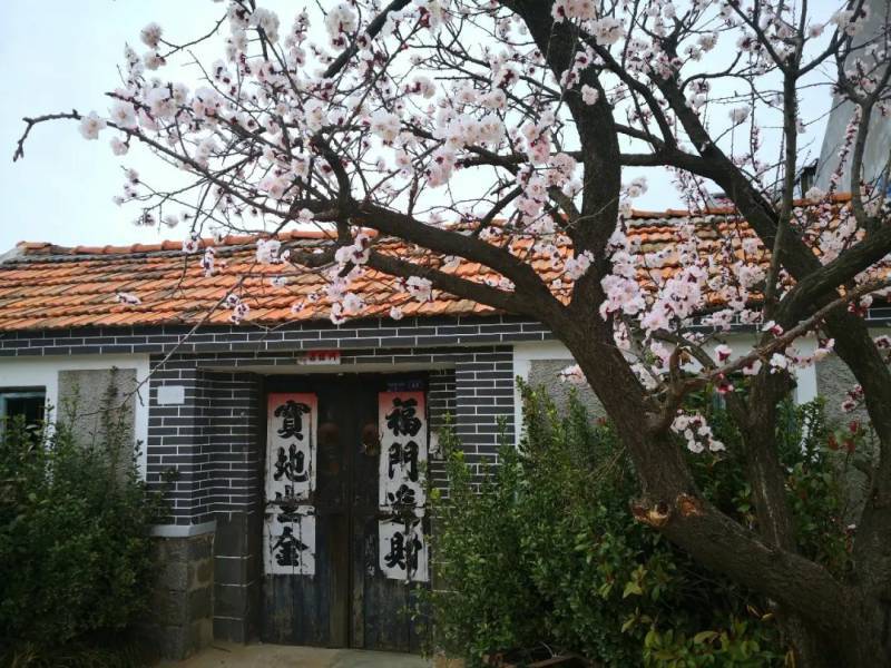 黄泥巷村墩上村上沟村跟随着镜头,一起探寻三月的杨家山里.