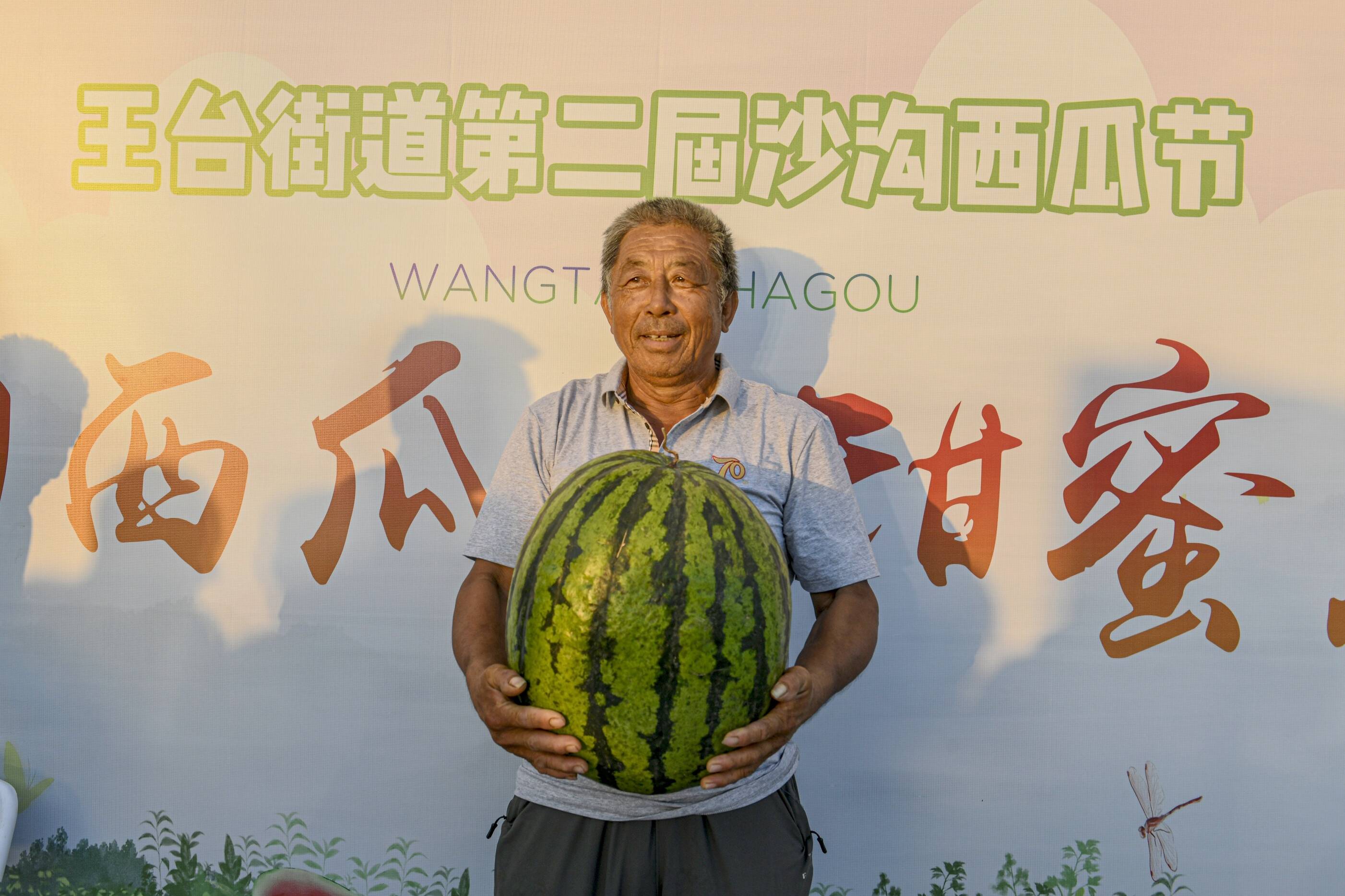 王台街道村民种出339斤大西瓜获评年度瓜王
