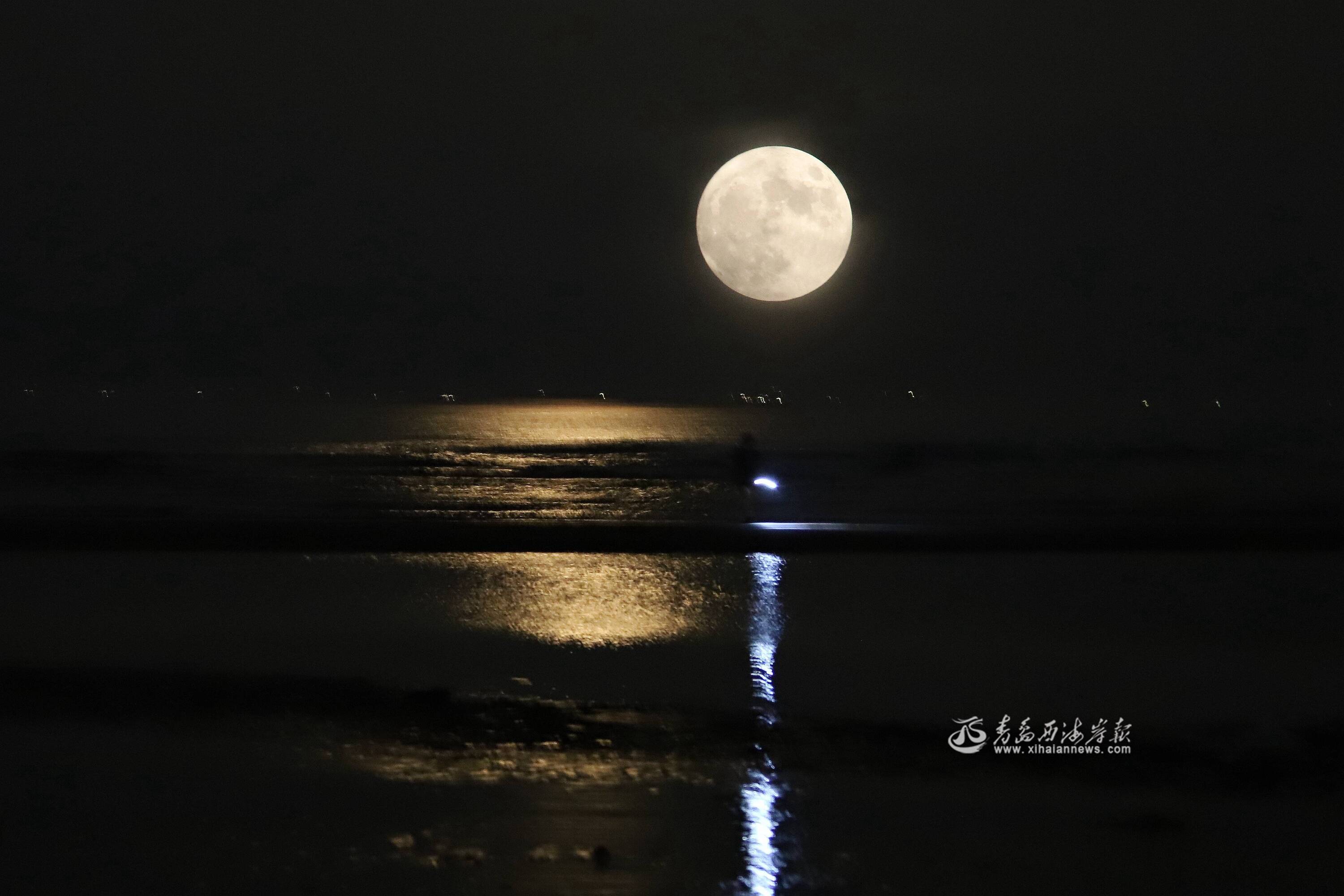超级月亮现身夜空