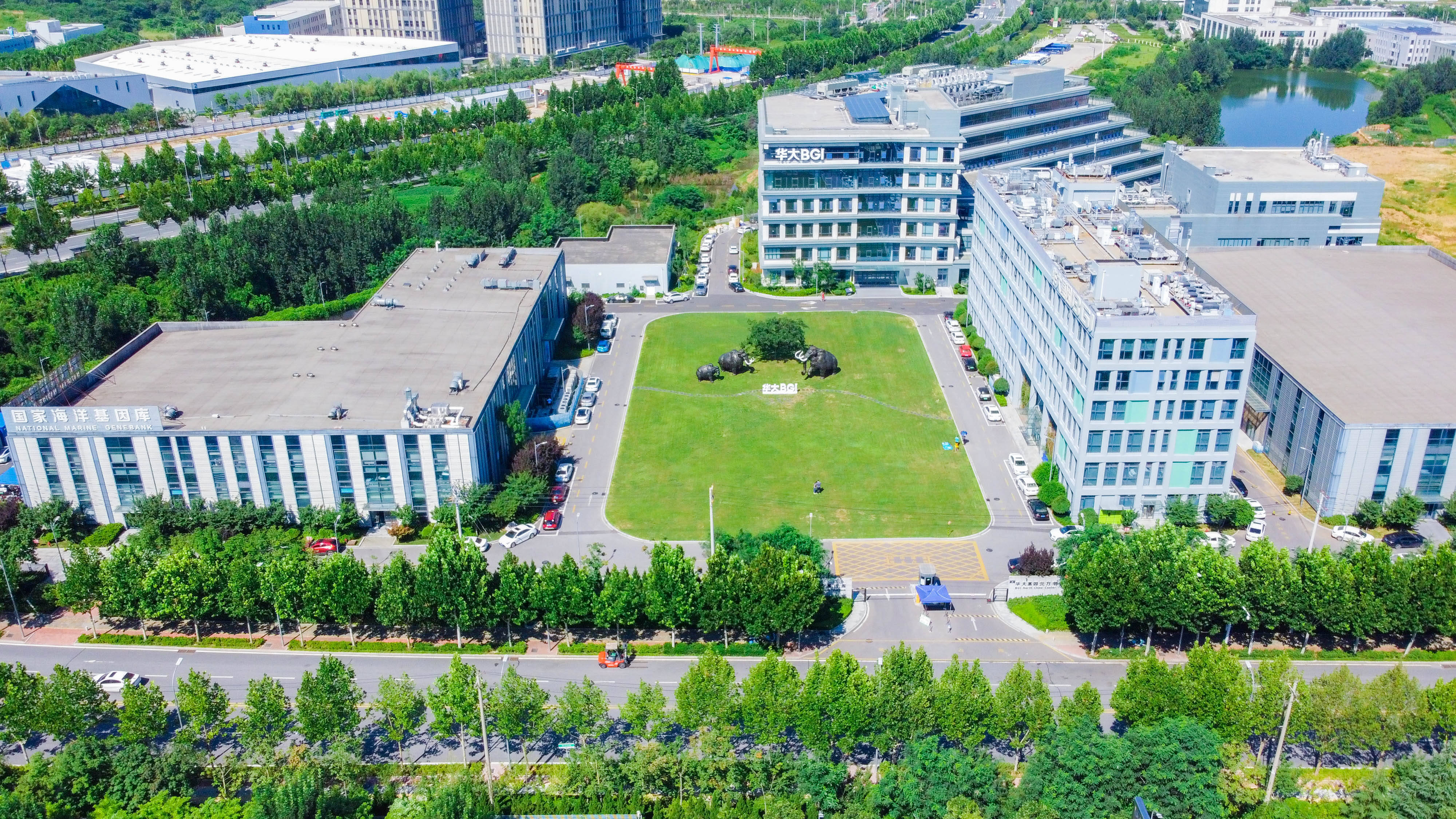 走在前开新局来自第一线的奋斗报告青岛自贸片区中德生态园抢占基因