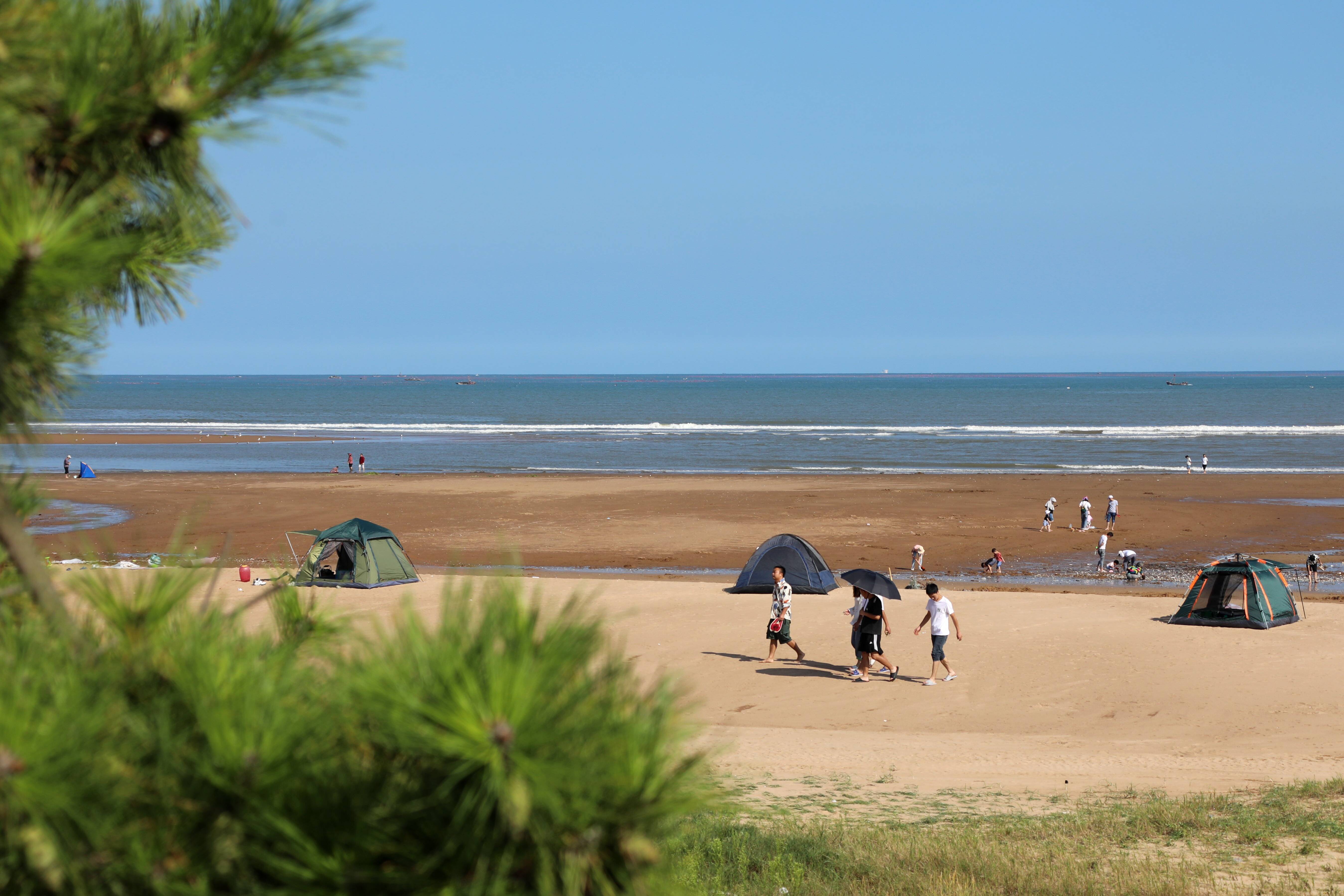 西海岸新区天气晴好,不少市民和游客来到海边,选择搭帐篷露营的方式