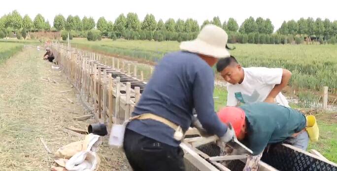 奋斗百年路启航新征程 同心奔小康 临沂河东区 内外兼修 助力乡村振兴