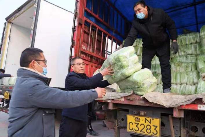 禹城17位“新型职业农民”捐赠10吨白菜驰援西安，助力疫情防控