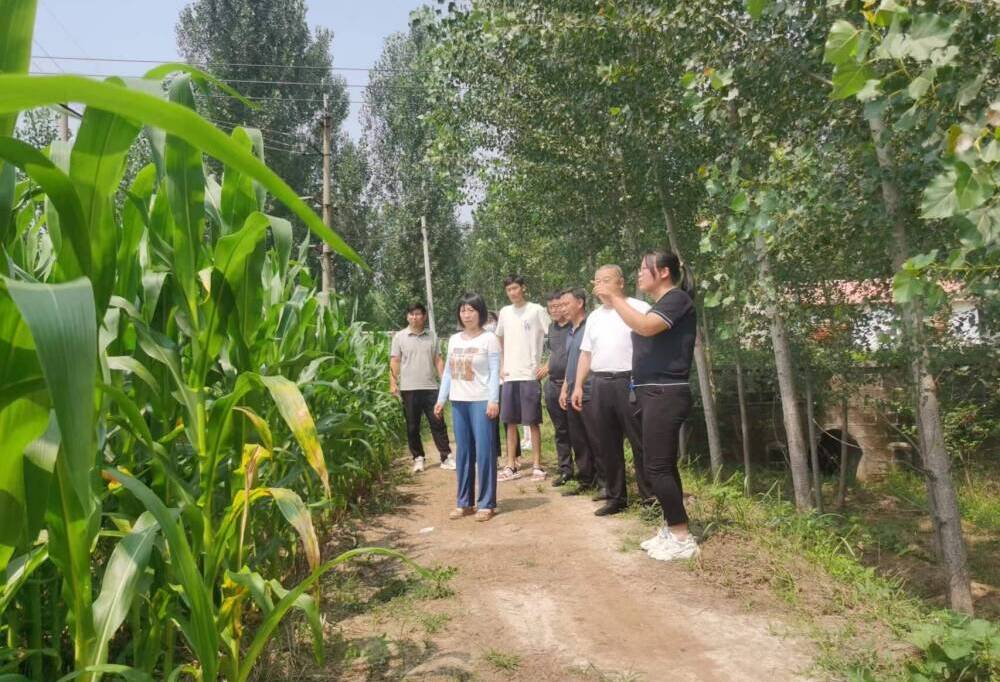 宁津县大曹镇倒排工期挂图作战全力备战三秋生产