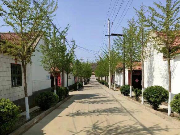 潍坊昌乐县乔官镇郝家沟村植绿补绿添春意美丽上新展新颜