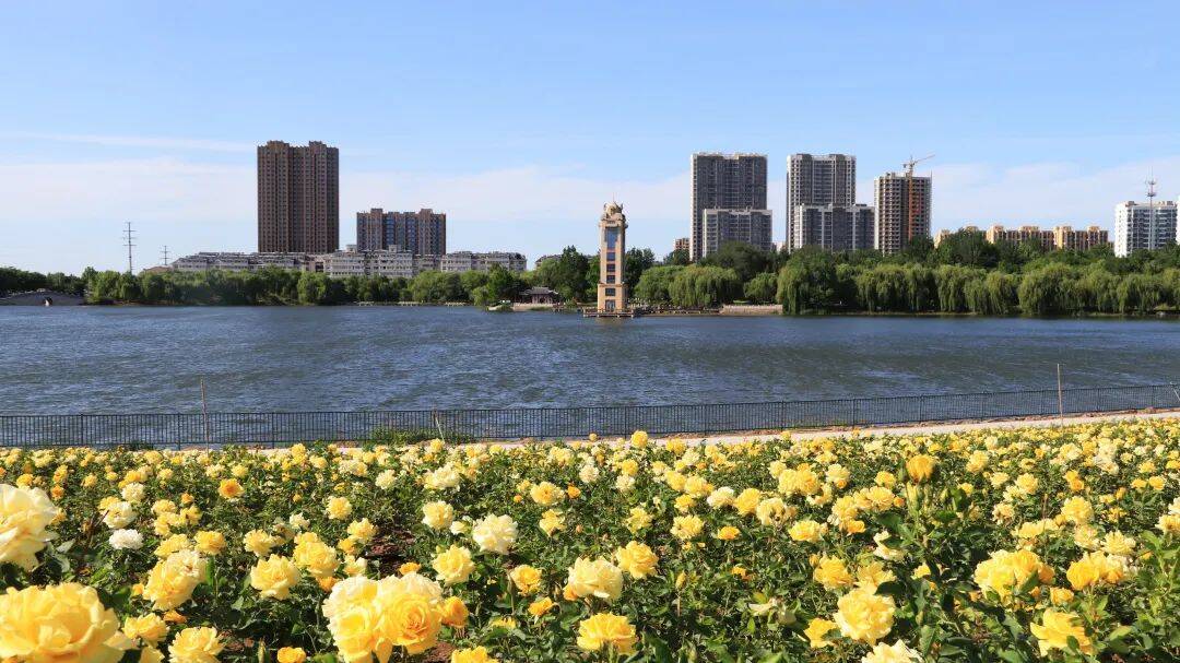 昌乐聚焦县域生态文明建设让绿色成为文明城市的底色