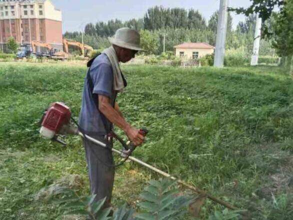 首阳山人图片