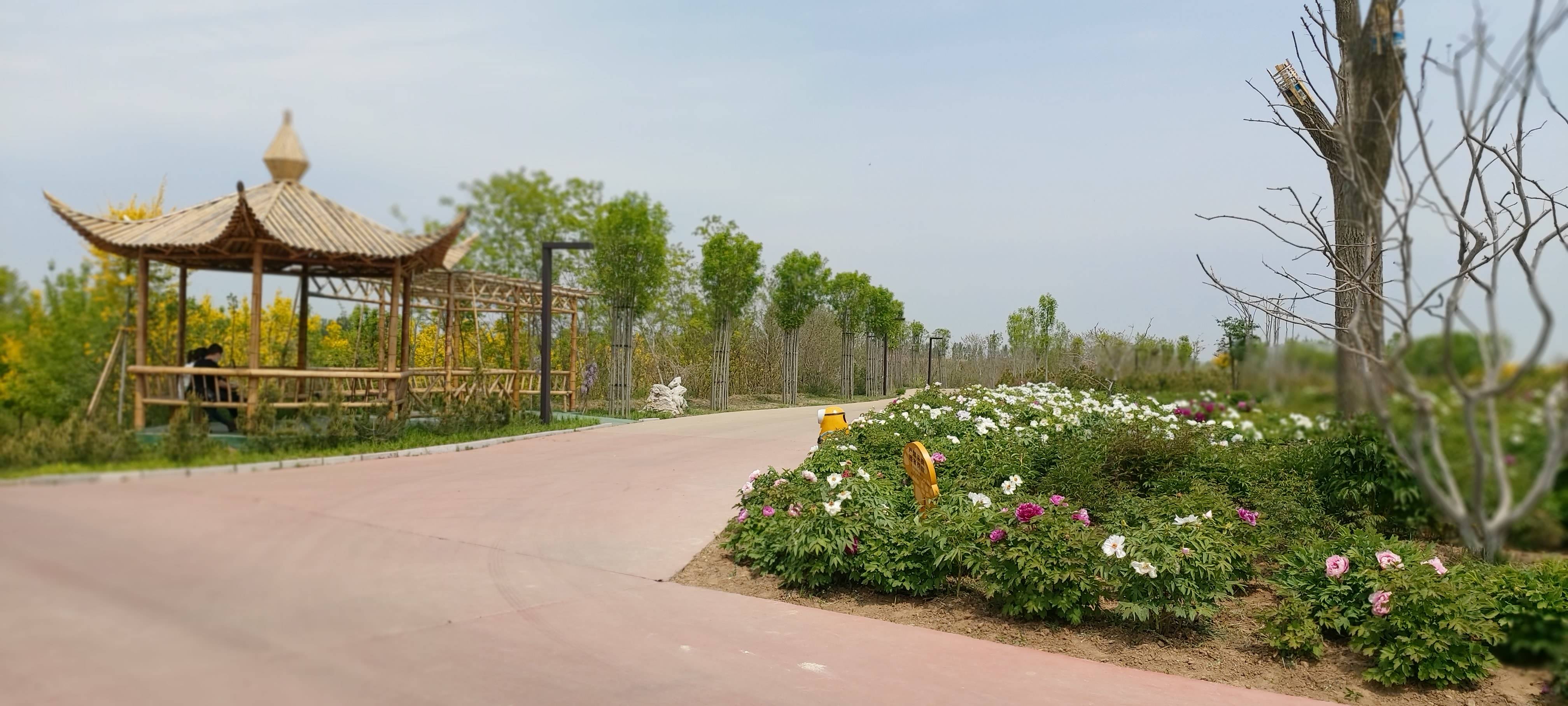 五龙河景区:完善景点 强化防疫迎"五一"-高密融媒网