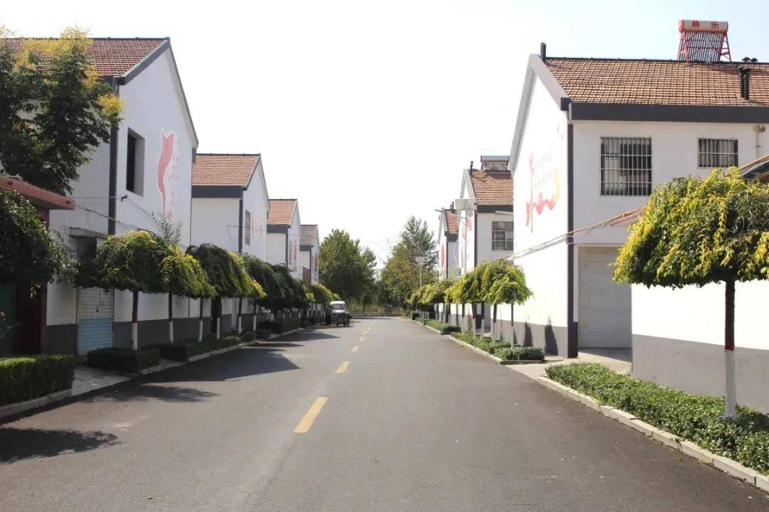 潍坊高密夏庄镇把群众满意工作做深做实