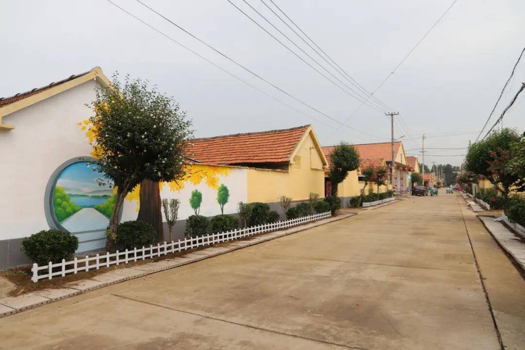 潍坊高密市农村人居环境整治工作现场会议与会人员到密水街道观摩