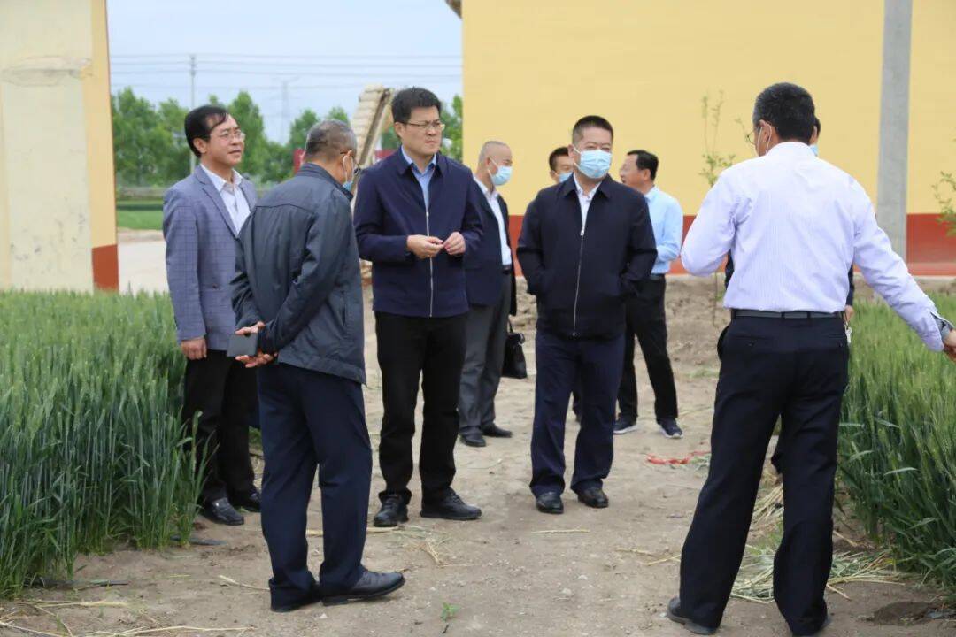 高密市委副书记市长王大伟同志到醴泉街道调研67菲达种业