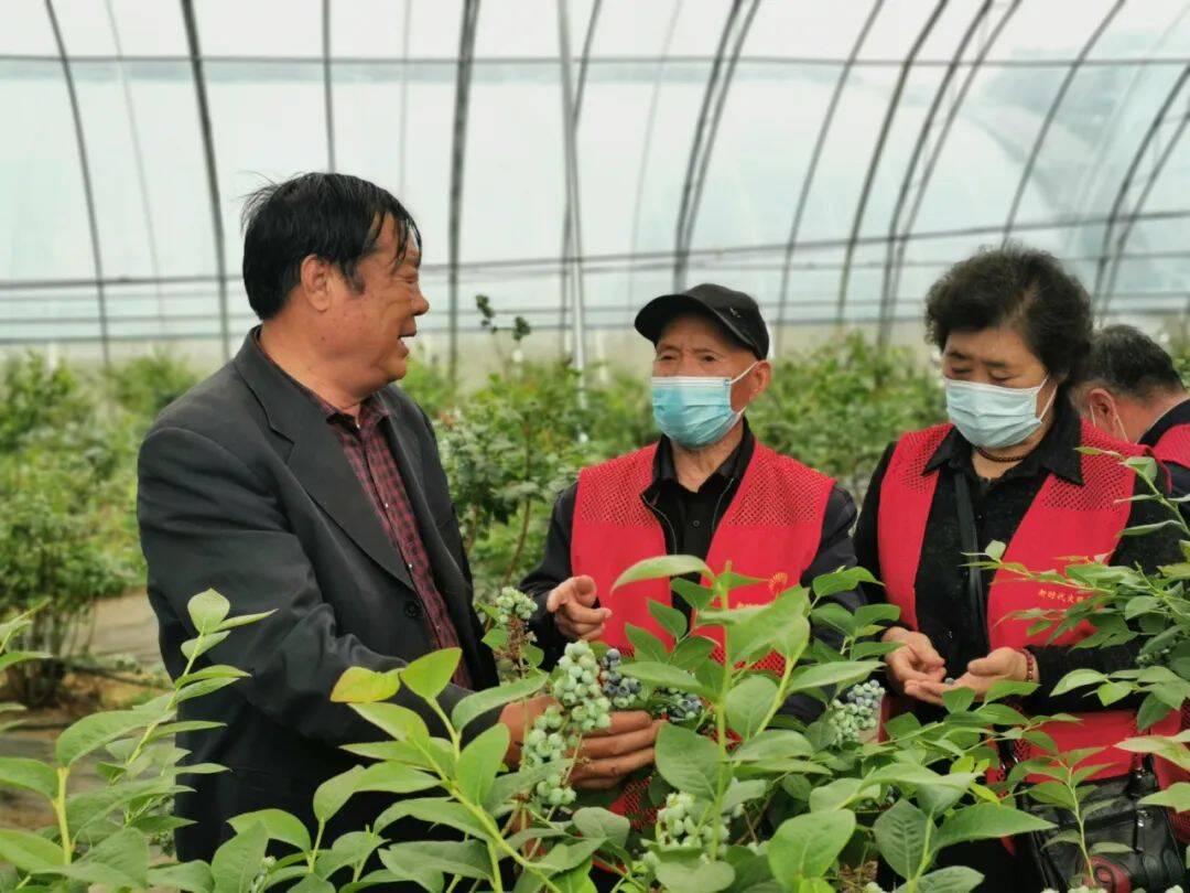 高密市长者先锋大篷车走进柴沟镇高家村