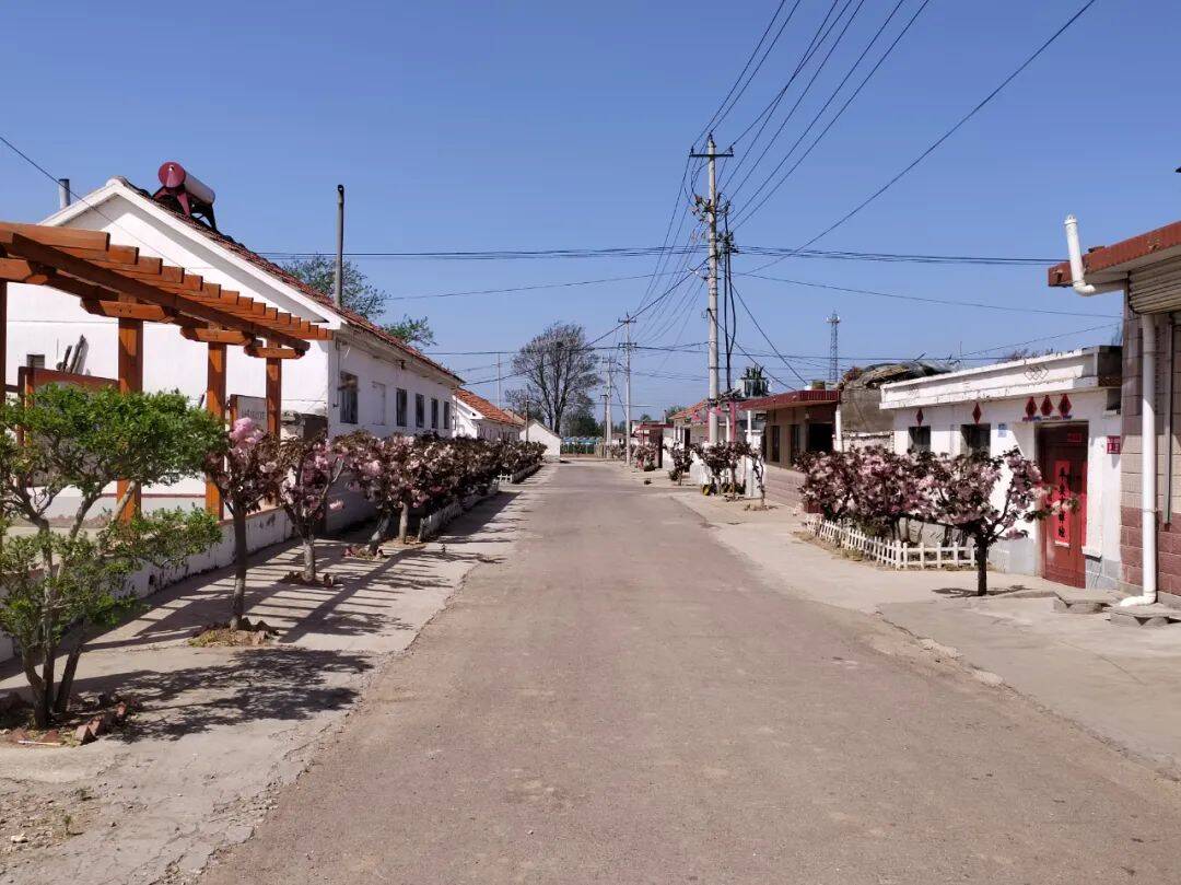 高密数数村内大变化感受寻常小幸福