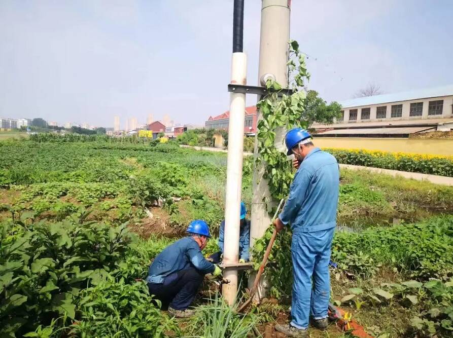 國網高密市供電公司中秋我在崗保電服務忙