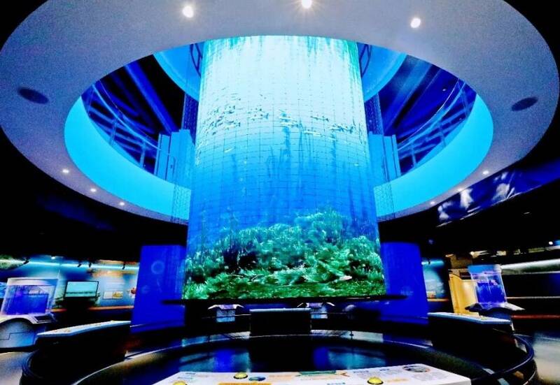 先睹为快威海首个海洋科技馆6月开放运营